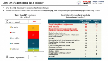 Salgın Döneminde Esnaf Olmak/Bir Ayakta Kalma Mücadelesi Kamuoyu Araştırması