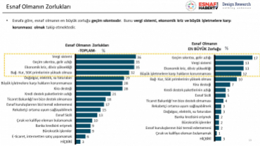 Salgın Döneminde Esnaf Olmak/Bir Ayakta Kalma Mücadelesi Kamuoyu Araştırması